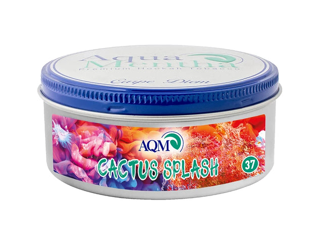 AQM CACTUS SPLASH